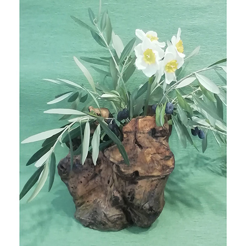 Κορμός Ελιας-image2-990