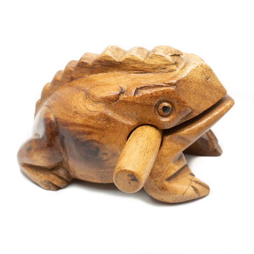 Μουσικός Βάτραχος-image2-557